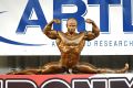 ����������� ����-��� IRONMAN, ������, 04.11.2006